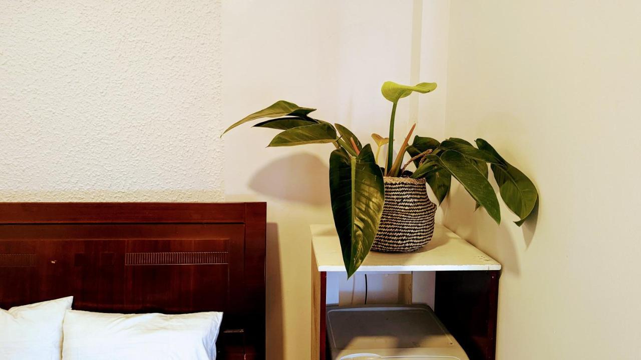 Guest house Wasabi House - Homestay Ben Cho